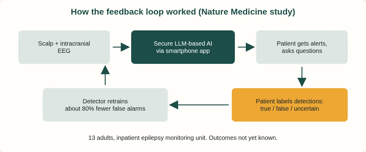 Diagram of the loop: EEG data to a secure AI app, patient alerts and questions, patient labels detections, detector retrains with about 80% fewer false alarms.