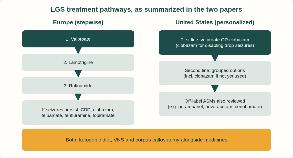 Side-by-side pathways: Europe stepwise valproate, lamotrigine, rufinamide, then other options; US first line valproate or clobazam, grouped second line, off-label options; both use diet, VNS and callosotomy.