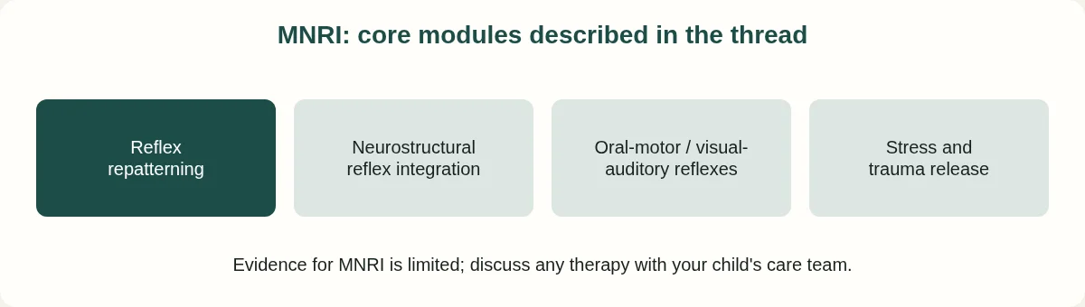 Four MNRI modules: reflex repatterning, neurostructural reflex integration, oral-motor and visual-auditory reflexes, stress and trauma release.